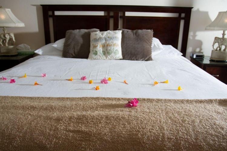 Sea Mountain Nude Resort & Spa Hotel - Adults Only Desert Hot Springs Eksteriør billede