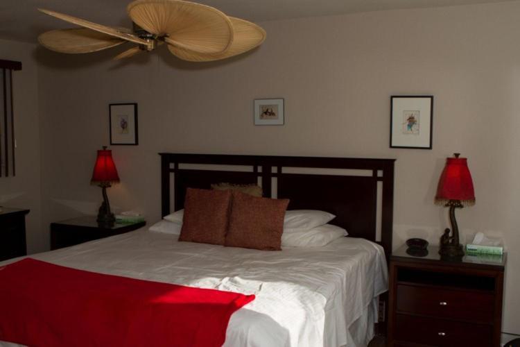 Sea Mountain Nude Resort & Spa Hotel - Adults Only Desert Hot Springs Eksteriør billede